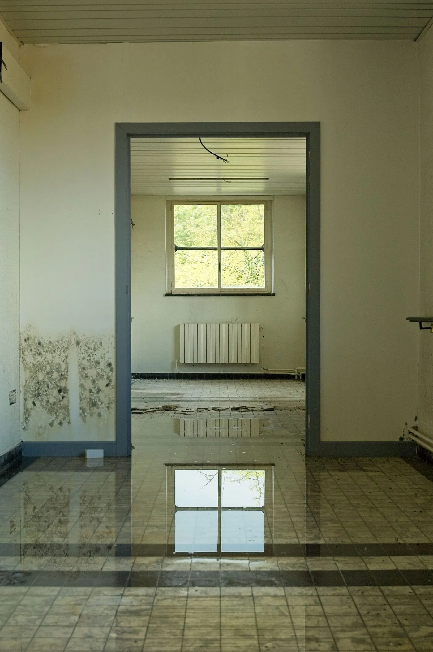 Wasserschaden in einem Innenraum mit stehendem Wasser